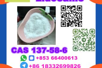  Manufacturer Supply Raw Material CAS 137586 Lidocaine